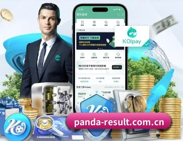熊猫战术分析 APP 深度功能