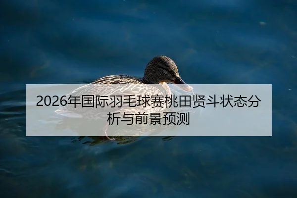 nian-guo-ji-yu-mao-qiu-sai-tao-tian-xian-dou-zhuang-tai-fen-xi-yu-qian-jing-yu-ce-2-929.jpg