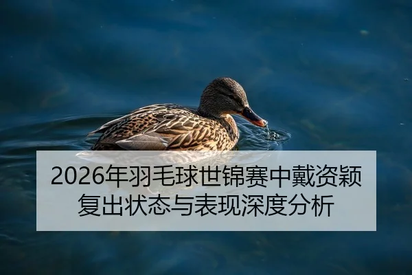 2026年羽毛球世锦赛中戴资颖复出状态与表现深度分析
