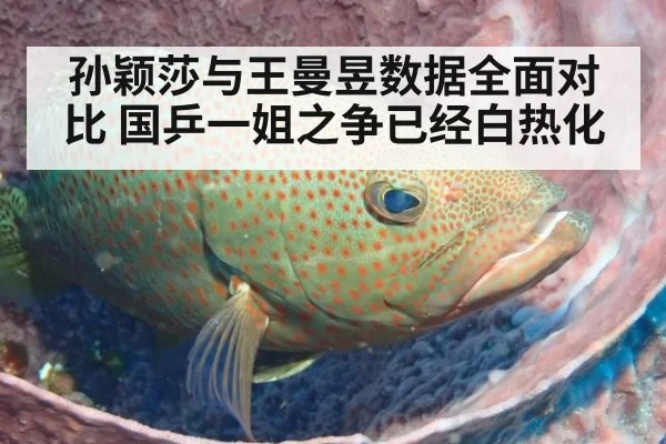 孙颖莎与王曼昱数据全面对比 国乒一姐之争已经白热化